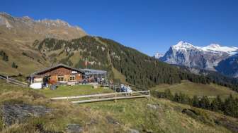 Bussalp in estate