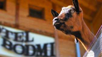 Benessere all'Hotel Bodmi 
