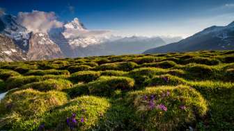 Grosse Scheidegg Grosse Scheidegg